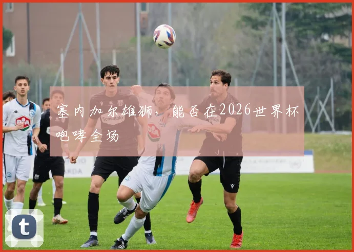 塞内加尔雄狮，能否在2026世界杯咆哮全场
