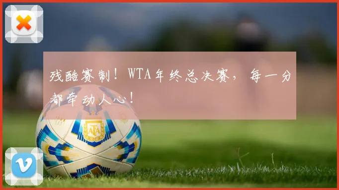 残酷赛制！WTA年终总决赛，每一分都牵动人心！