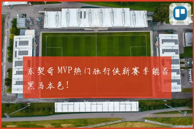 东契奇 MVP热门独行侠新赛季能否黑马本色！